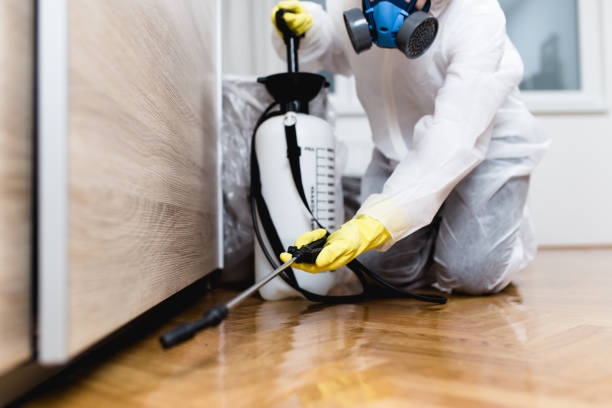 Cutten, CA Pest Control Company