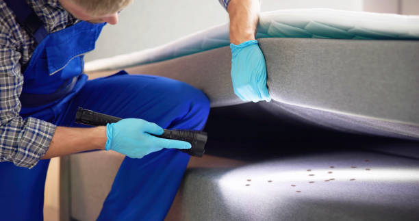 Best Pest Control Near Me in Cutten, CA