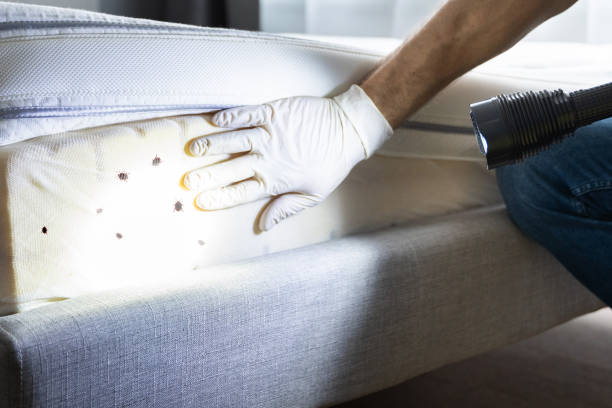 Best Best Pest Control Companies  in Cutten, CA