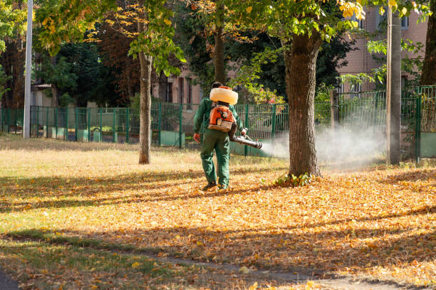 Best Insect Control  in Cutten, CA