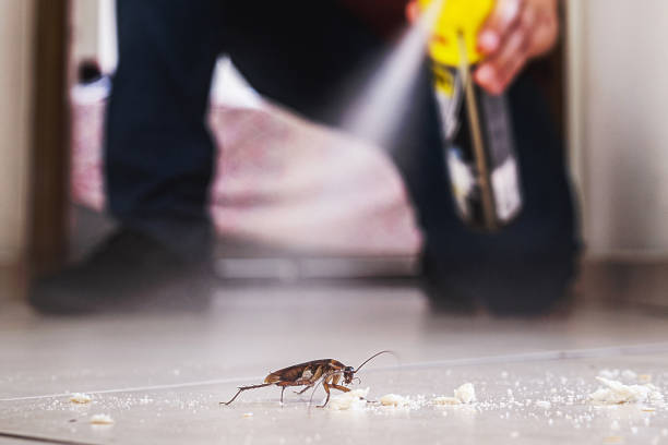 Best Pest Inspection Near Me  in Cutten, CA